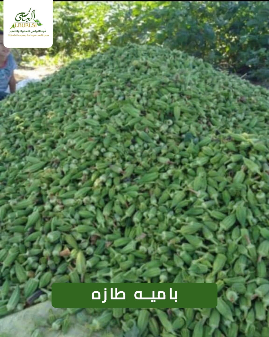 باميه طازه