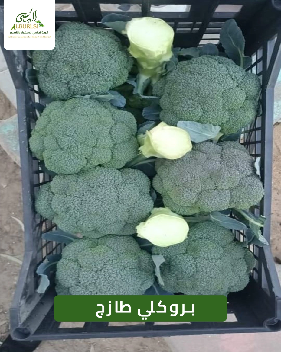 بروكلي طازج