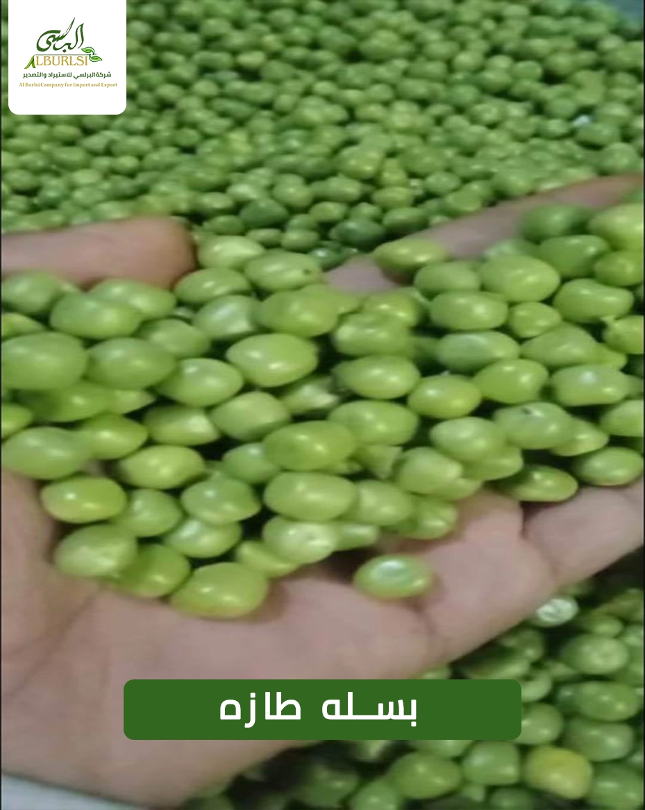 بسله طازه