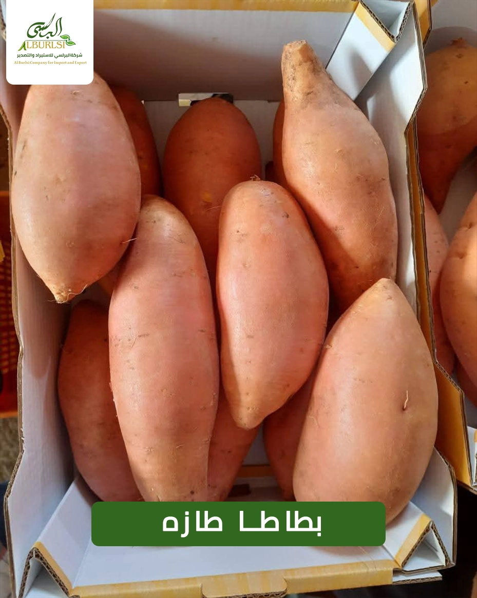 بطاطا طازه