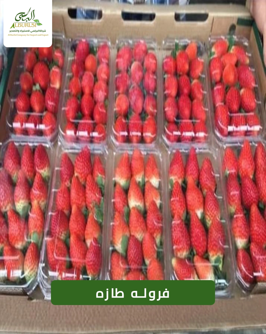 فروله طازه