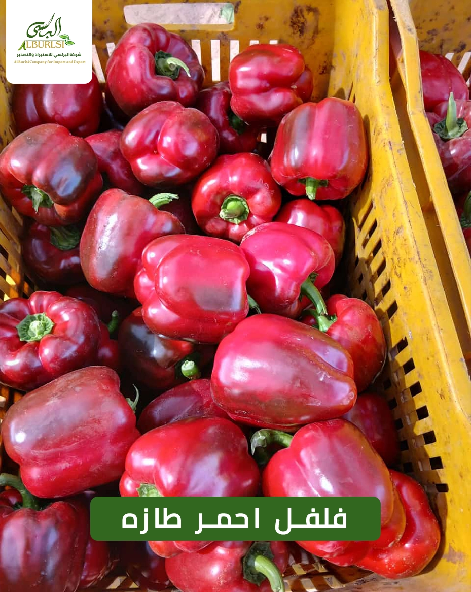 فلفل احمر طازه