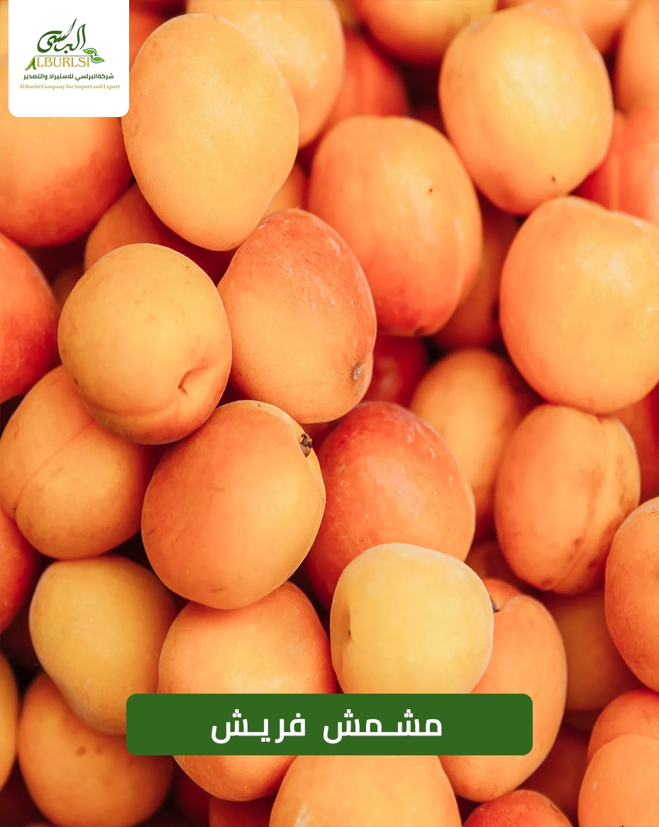 مشمش فريش