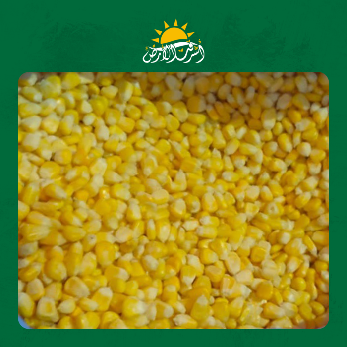 ذرة سكرية حب  Sweet Corn