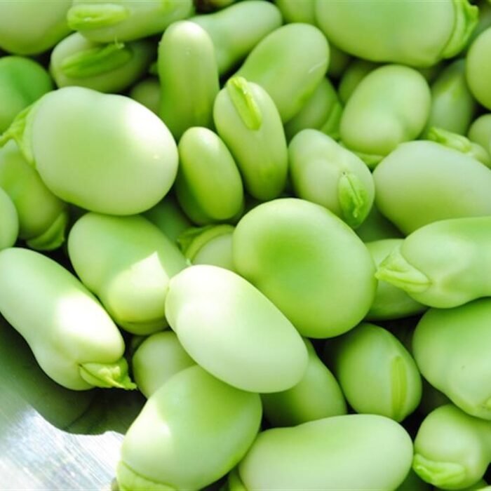 فول أخضر حب  Broad Beans
