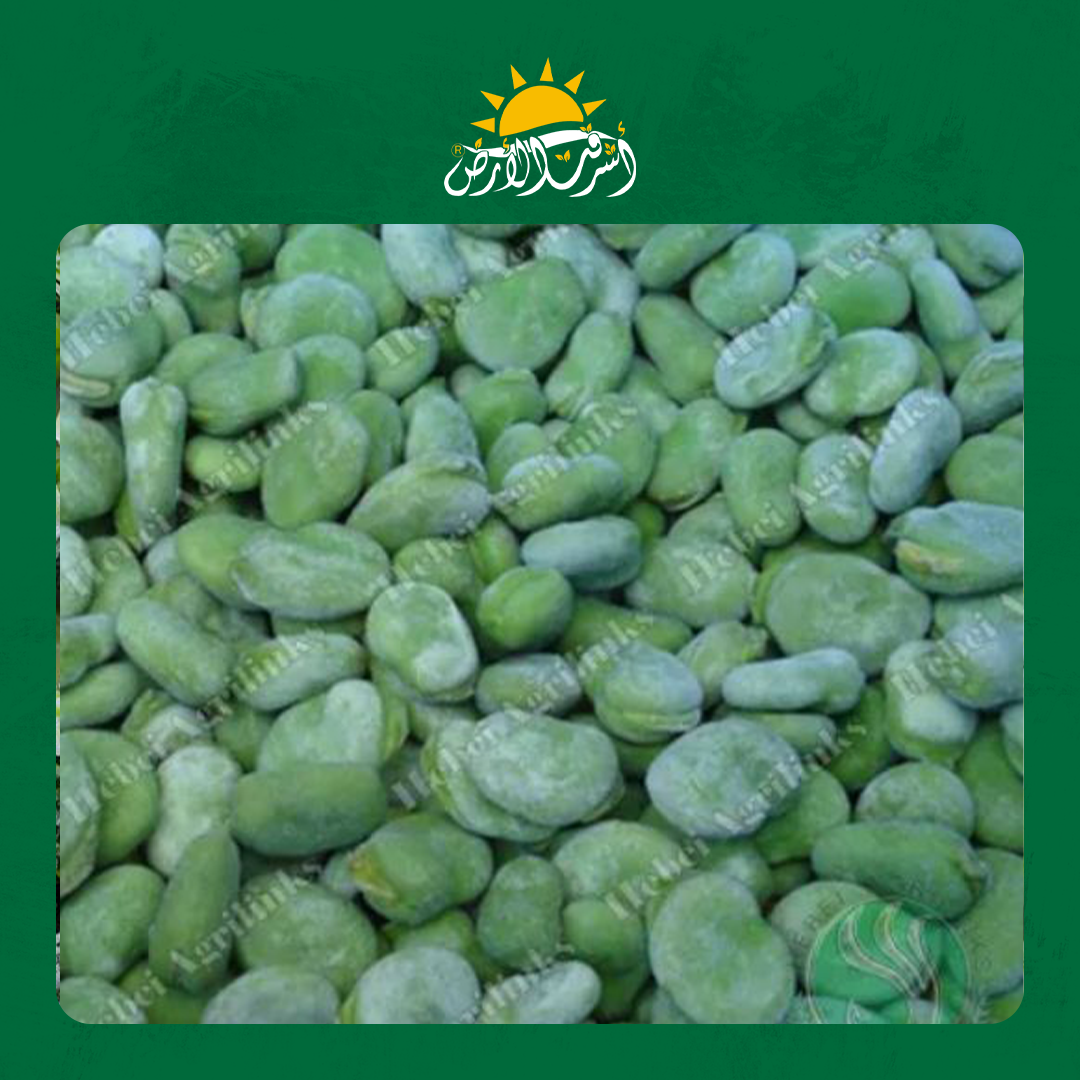 فول أخضر حب Broad Beans