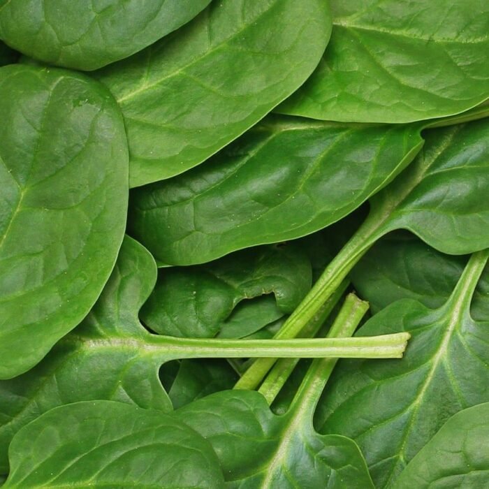 سبانخ Chopped Spinach