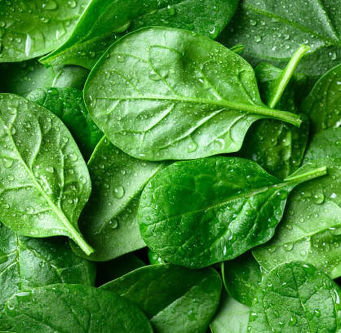 سبانخ Chopped Spinach