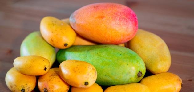 مانجو حب Mango Whole