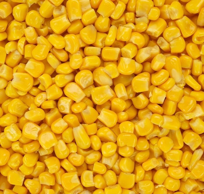 ذرة سكرية حب  Sweet Corn