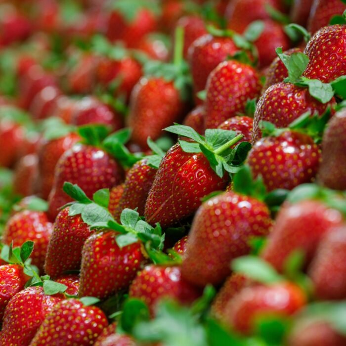 FDAفراولة  Strawberry  (FDA)