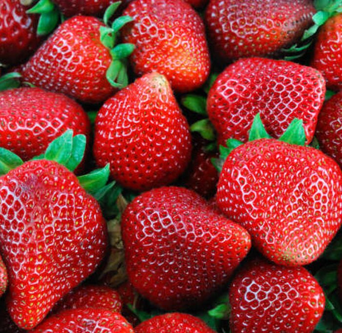فراولة عشوائي Strawberry Random