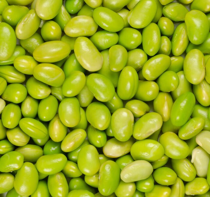 فول أخضر حب  Broad Beans